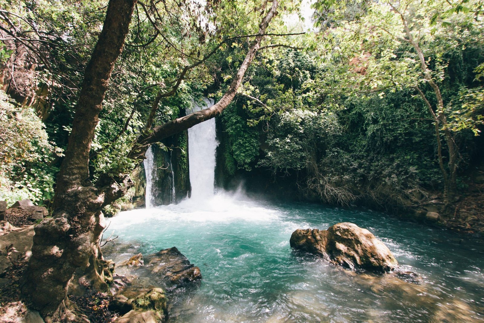 Vista da cachoeira em Ein Gedi Oasis, Israel, com águas azuis e em volta de árvores.