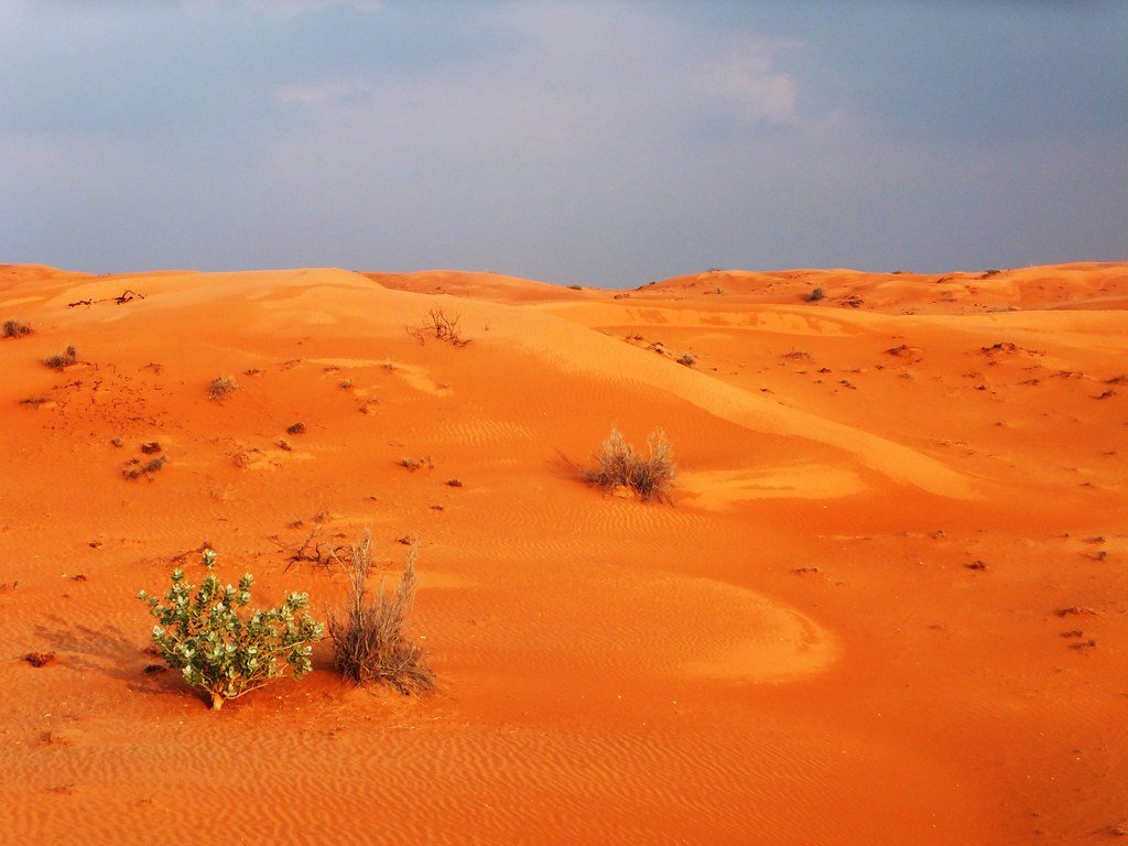 Dunas de uma areia vermelha e laranja no deserto de Ras Al Khaimah