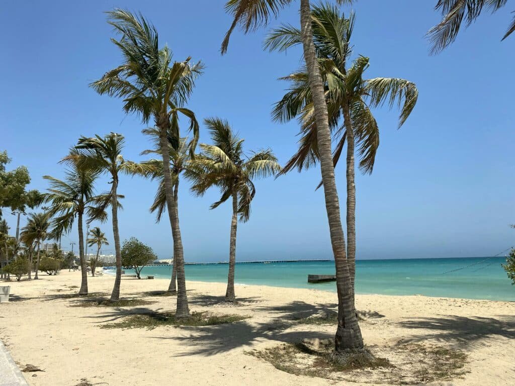 Uma praia de areia na Ilha Kish
com várias palmeiras e águas azuis cristalinas sob um céu limpo.
Representa Irã.