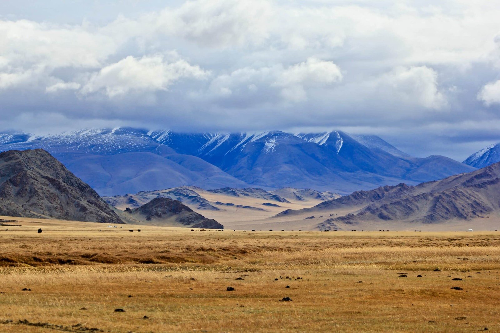 Vista das Montanhas de Altai com vegetação seca. Representa seguro viagem Mongólia.