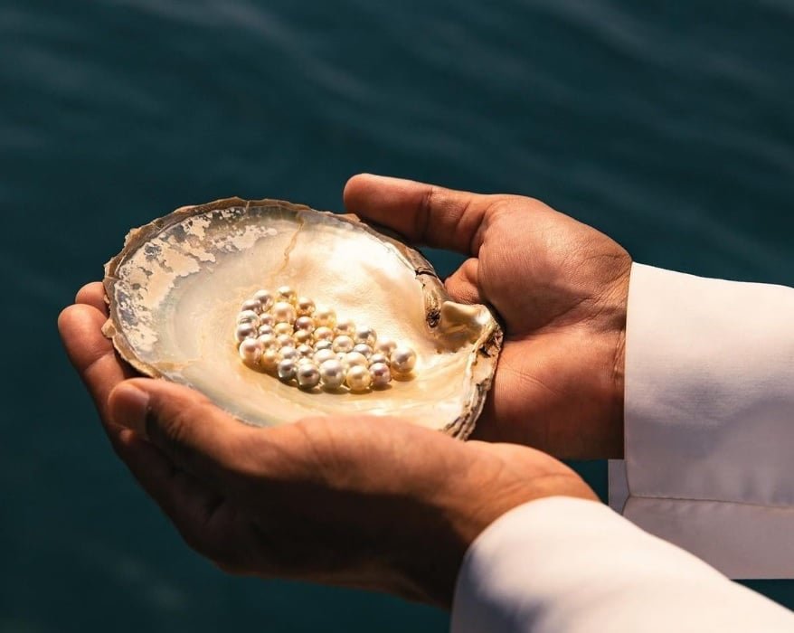 Duas mãos masculinas segurando uma parte de uma ostra grande com diversas pérolas dentro